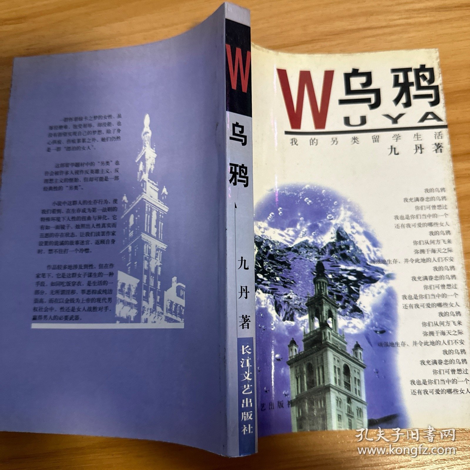 乌鸦：我的另类留学生活