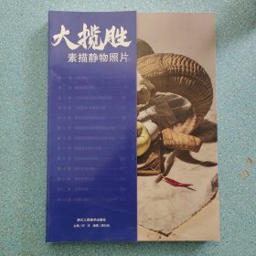 大揽胜素描静物照片