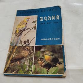 籠鳥的飼育