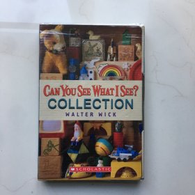 英文原版绘本 Can You See What I See? 6册盒装  collection Walter wick