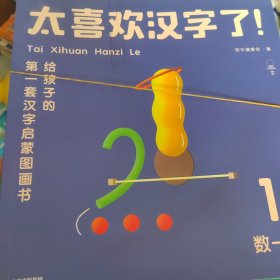 太喜欢汉字了！给孩子的第一套汉字启蒙图画书（套装共10册）1-9