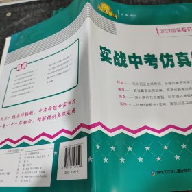 实战中考仿真卷化学