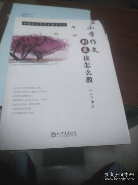 小学作文到底该怎么教 : 新课程小学作文教学漫谈