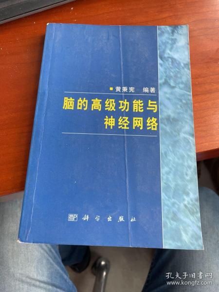 脑的高级功能与神经网络