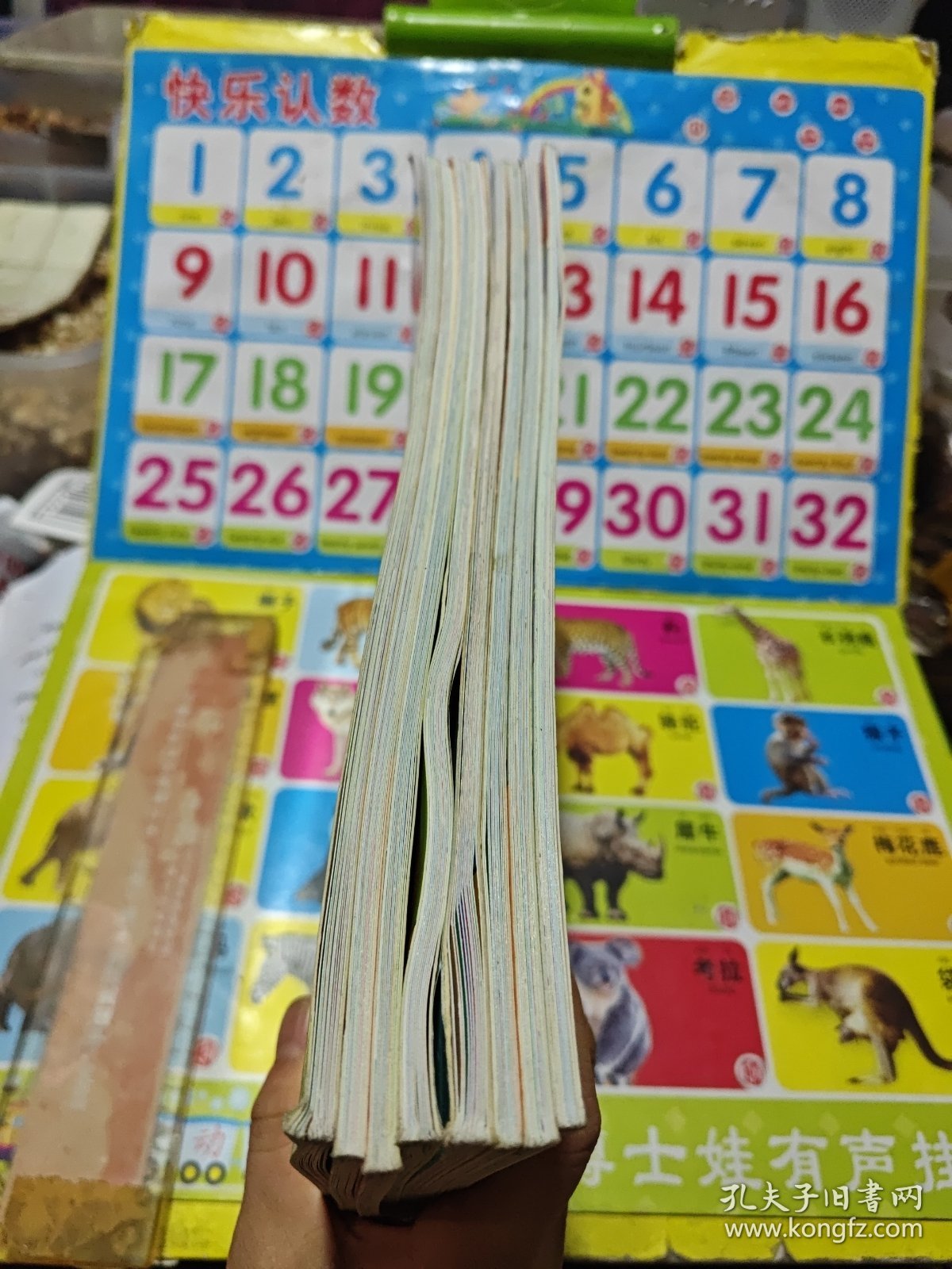 儿童趣味小百科 共8本合售