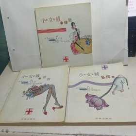 小女贼：的细软、私房画、之偷香（三本合售）