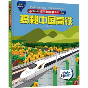 揭秘中国高铁