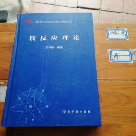 中国原子能科学研究院科学技术丛书：核反应理论