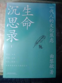 生命沉思录 ：一代人的文化焦虑