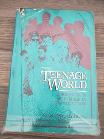 the teenage world