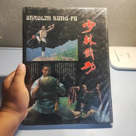 少林武功 （精装 铜板彩印 汉英对照）