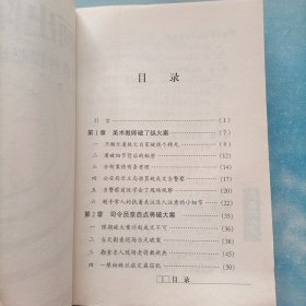 画出陌生人：学者神探赵成文破案实录