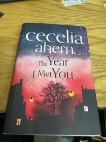 cecelia ahern yhe year l met you