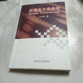 社会主义现象学