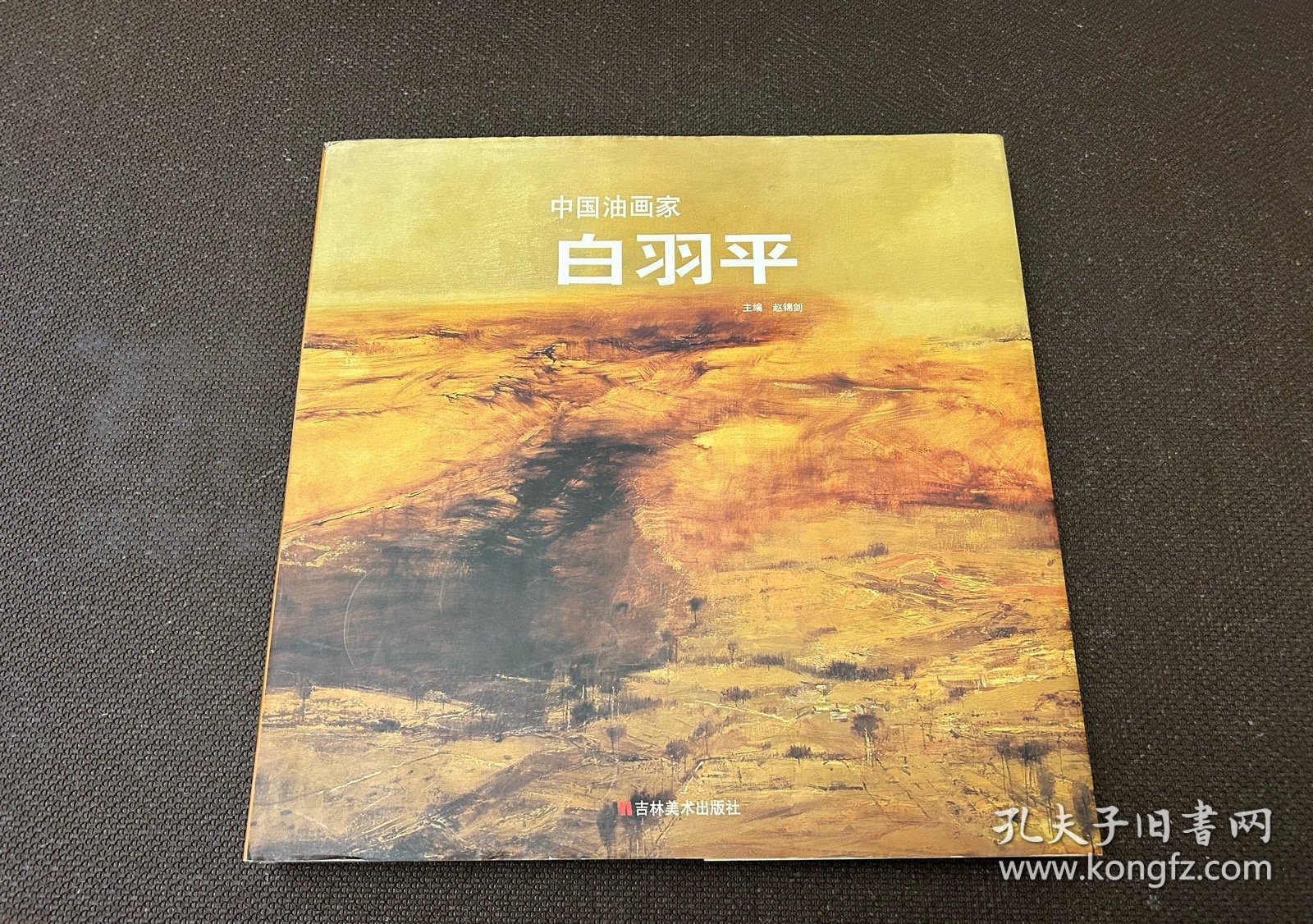 中国油画家：白羽平