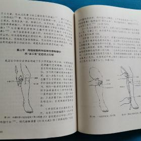 针灸经络生物物理学:中国第一大发明的科学验证