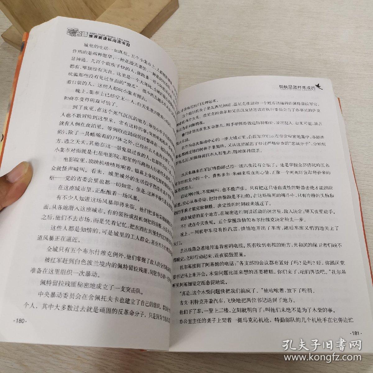 钢铁是怎样炼成的（名师推荐全译本）/名师推荐新课标阅读书目