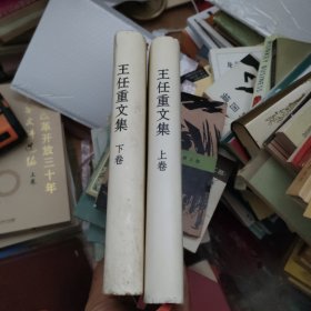 王任重文集上下册