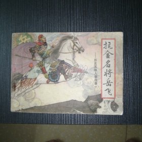 《抗金名将岳飞》下册