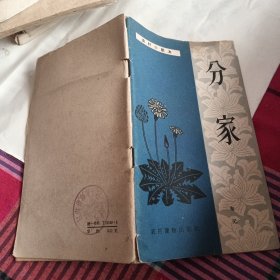 农村小剧本 分家
