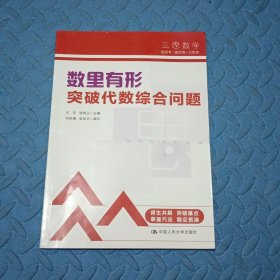 三思中考数学 数里有形：突破代数综合问题（人大附中及其分校教师编写）初中七年级八年级九年级中考数学复习资料提分宝典