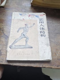 艺用人体结构
