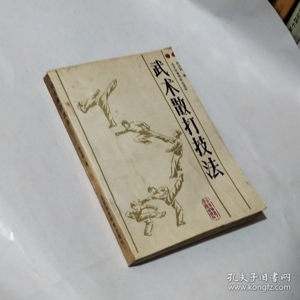 武术散打技法