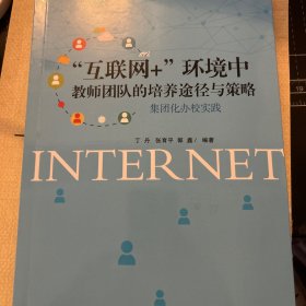 “互联网+”环境中教师团队的培养途径与策略