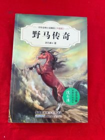 中外动物小说精品（升级版）：野马传奇