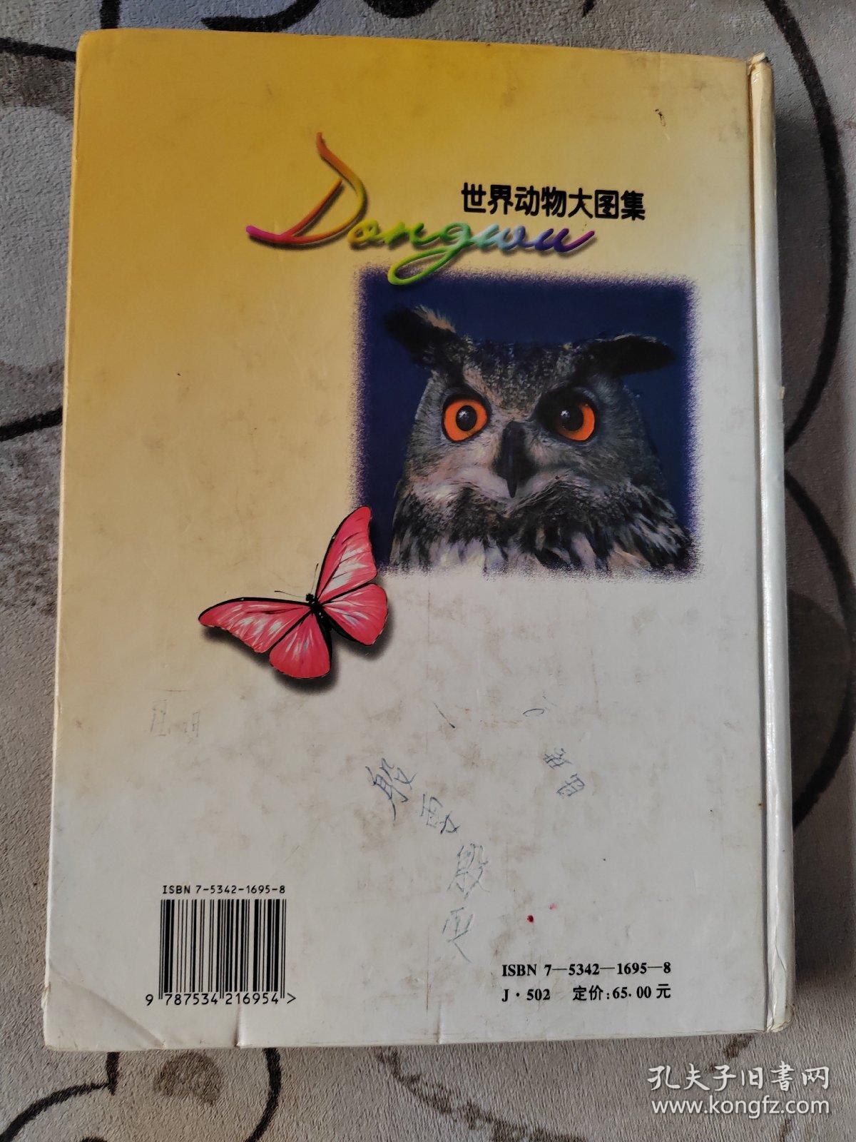 世界动物大图集