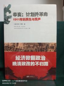 辛亥·计划外革命：1911年的民生与民声