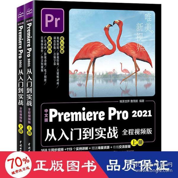 中文版Premiere Pro 2021从入门到实战 （全程视频版）