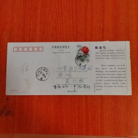 明信片——实寄邮资明信片 酥油花 盖西宁2004.10.25.17黄河路1邮戳