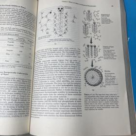 principles of biochemistry（1,2册）2本合售  生物化学原理