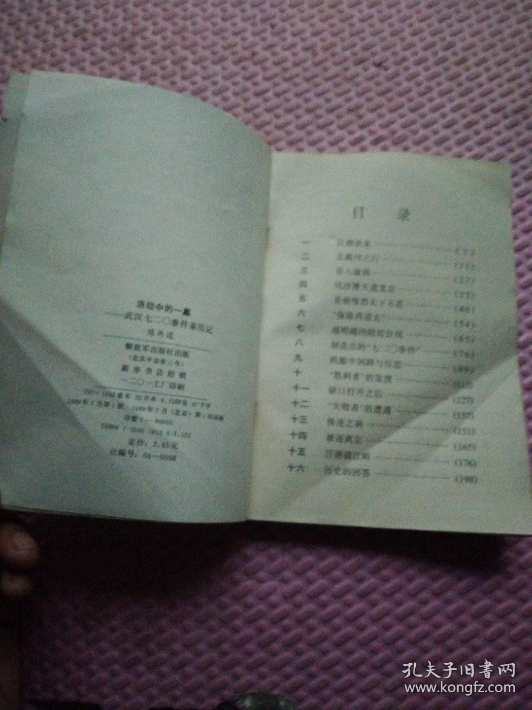 浩劫中的一幕 武汉七二〇事件亲历记