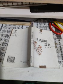 文字后的历史 C4