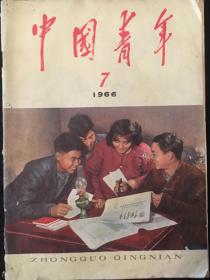 1966年中国青年