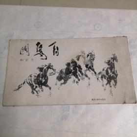 百马图（活页 15页全）