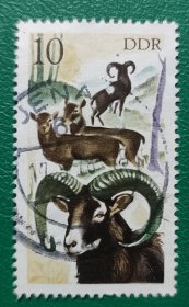 德国邮票 东德1977年狩猎 1枚销