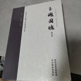 中国古玉鉴赏与研究系列丛书：玉魂国魄（修订版）