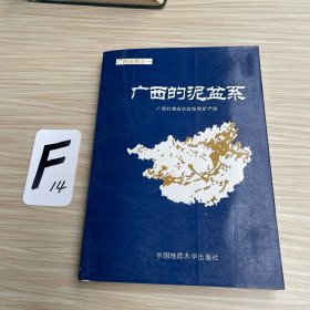 广西的泥盆系