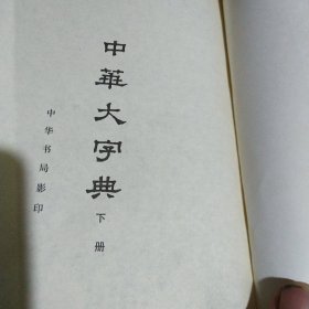 中华大字典（下）