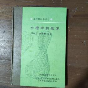 非线性科学丛书：圆映射……（9本合售）