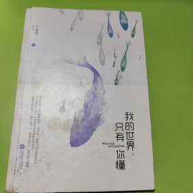 我的世界，只有你懂（上）