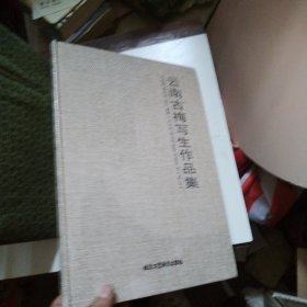 云南古梅写生作品集