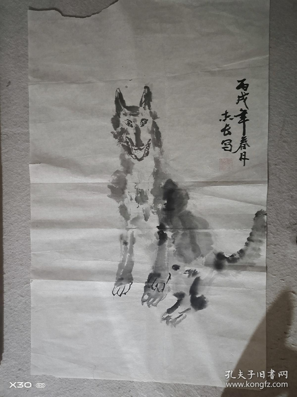 狼