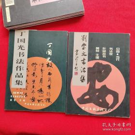 中国当代书法家作品丛书 ：【10本合售】【丁明镜书法，卢汝福书仙都历代名人题咏诗，苏扬子平书法作品集，杨少华书法作品集，黄君书法作品集，葛鸿桢书法作品集，袁立中书法作品集，刘崇文书法作品集，冷望高书法作品集，丁国光书法作品集】