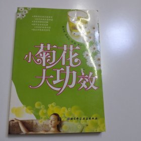 小菊花大功效