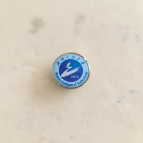 武汉工程大学校徽徽章1