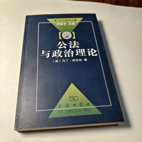 公法与政治理论